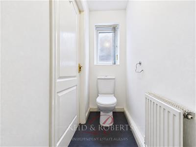 Picture 19